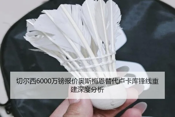 切尔西6000万镑报价奥斯梅恩替代卢卡库锋线重建深度分析