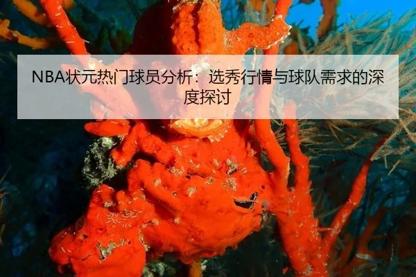 NBA状元热门球员分析：选秀行情与球队需求的深度探讨